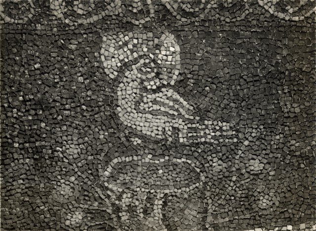 Zigrossi, Giuseppe — Anonimo romano sec. IX - S. Marco Evangelista al Campidoglio, mosaico del catino absidale: fenice — particolare